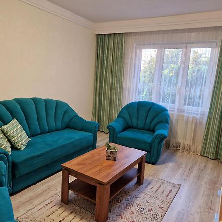 Ori Modern Apart Malul Muresului , Arad Exterior foto