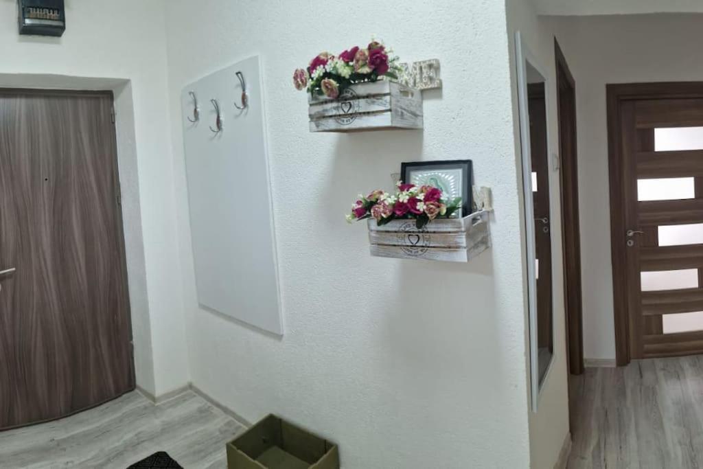 Ori Modern Apart Malul Muresului , Arad Exterior foto