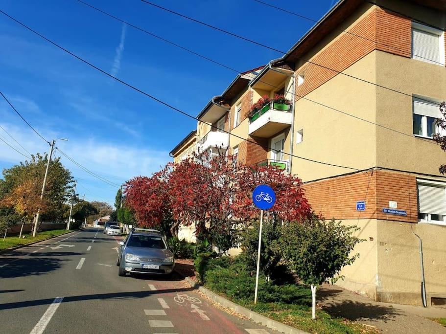 Ori Modern Apart Malul Muresului , Arad Exterior foto