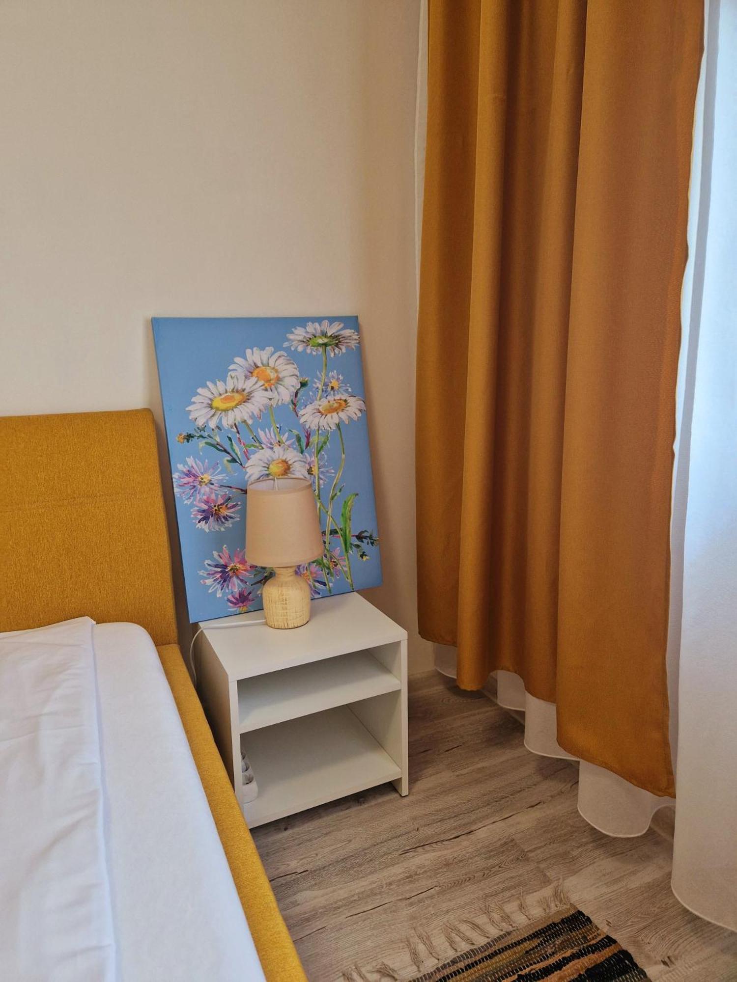 Ori Modern Apart Malul Muresului , Arad Exterior foto